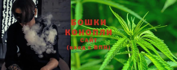 крисы Армянск