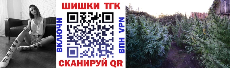 Купить закладки  Суровикино  МАРИХУАНА гибрид 